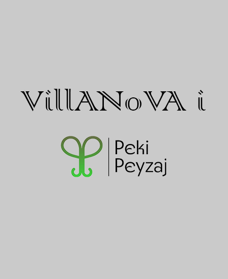 projects