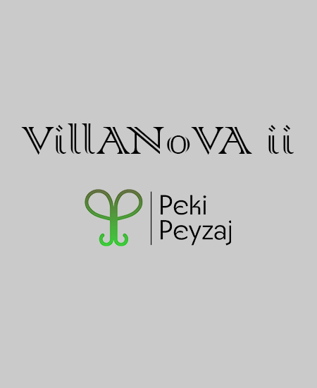 projects