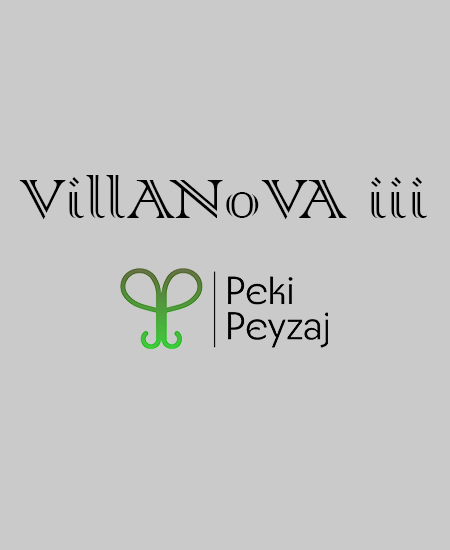projects